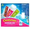 Candyman Vrieslollies 10 Stuks 500 ml (Zak, 0.5L)
