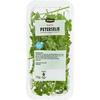 Jumbo Platte Peterselie 15g (15g)