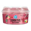 Bosvruchten sorbetijs (0.5L)