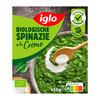 Iglo Biologische spinazie a la creme (Doos, 450g)