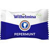 Doos pepermunt vegan psv (200 × 4.75g)