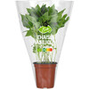 AH Biologisch Thaise basilicum