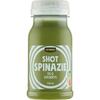 Jumbo Groenteshot Komkommer Courgette Spinazie Banaan Appel Avocado 125ML (125ml)