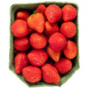 DEEN Hollandse aardbeien bak 500 gram (500g)