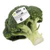 AH Biologisch Broccoli (500g)