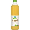 AH Biologisch Gember siroop (0.5L)