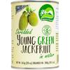 Nature's Charm young green jackfruit shredded in water blik 565 g (565g)